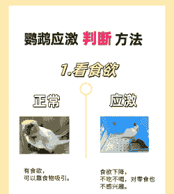 养殖户情绪激化怎么办