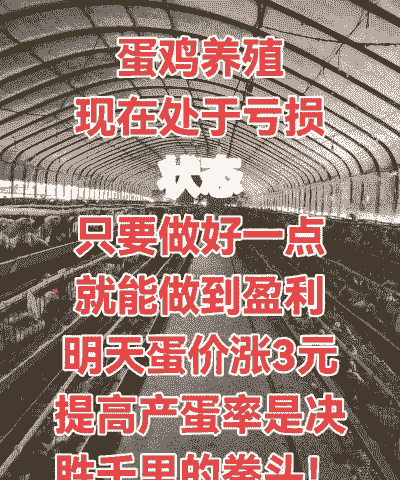 养殖场老亏损怎么办理