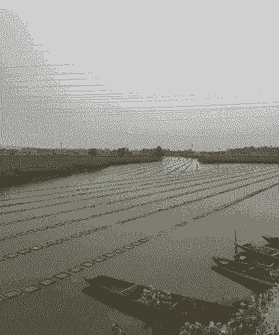 珍珠蚌怎么养殖