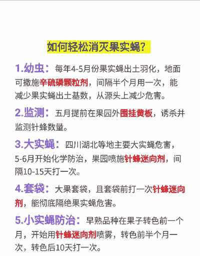 实验室养殖果蝇怎么办