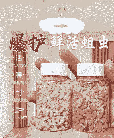 可以吃的肉蛆怎么养殖啊