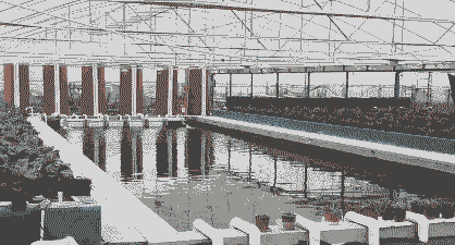 长春养殖鱼菜共生怎么样