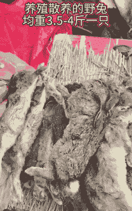 野兔幼崽养殖利润怎么样