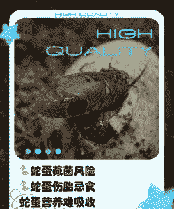 养殖蛇不吃东西怎么回事