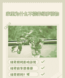 绿萝养殖不发芽怎么办