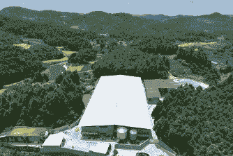 生猪养殖合作社怎么样