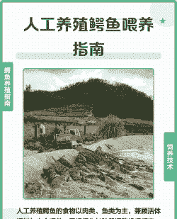 鳄鱼养殖怎么降低成本的