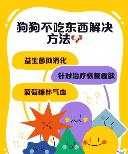 养殖的狗不吃食怎么办