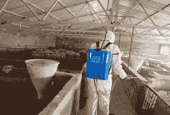 在养殖场上班怎么防护猪