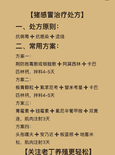 养殖场非洲猪瘟怎么治疗