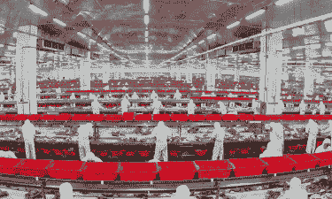 云南金锣养殖场怎么样