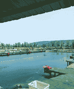 三友养殖垂钓基地怎么样