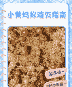 地下室养殖蚂蚁怎么办