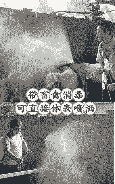 大型养殖场空圈怎么消毒