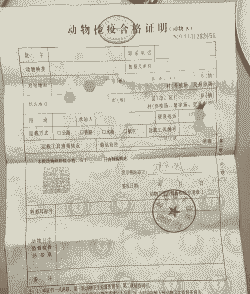 养殖户卖猪怎么开检疫