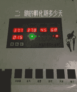 养殖箱湿度太高怎么办啊