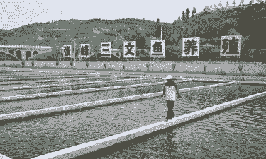 山区怎么发展现代化养殖