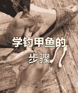 黑坑手竿怎么钓养殖甲鱼