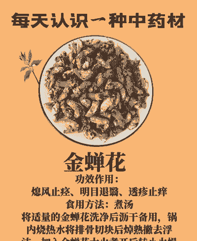 自己养殖的金蝉怎么做药