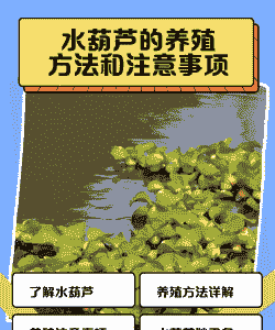 养殖水质怎么样才能变好