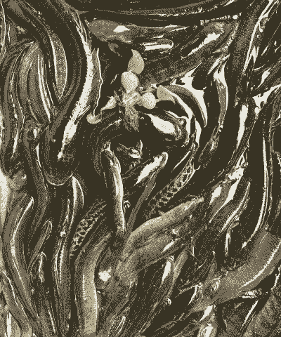 七星鱼怎么养殖