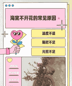 海棠花不开花的原因 海棠花不开花的原因