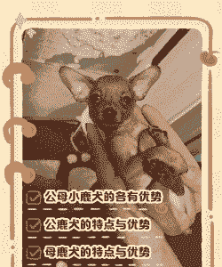 天津鹿崽养殖利润怎么样