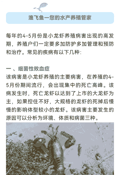 养殖小龙虾得病怎么看