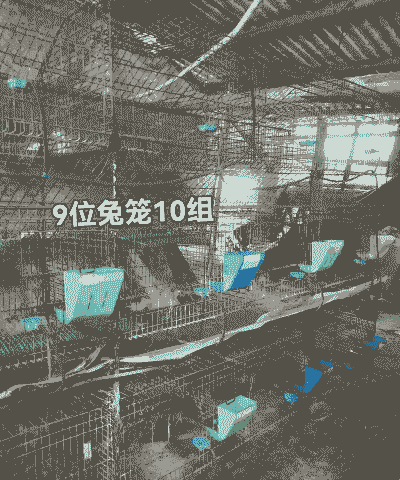 肉兔养殖场怎么办理