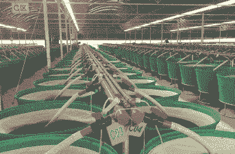 空中养殖是怎么样的工作