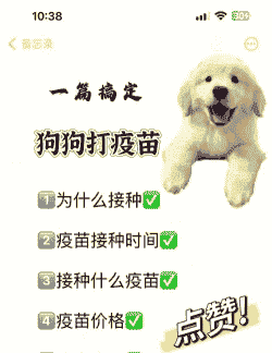 宠物狗打疫苗后怎么养殖