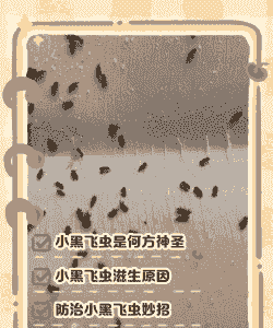 鱼缸养殖小黑虫怎么办呀