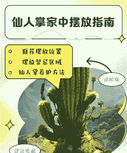 家里摆的仙人掌怎么养殖