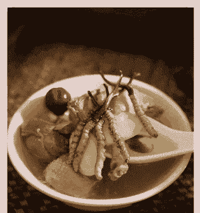 人工养殖虫草做汤怎么做