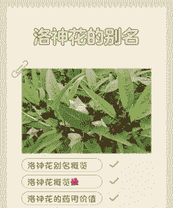 洛神花别名叫什么