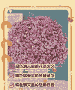 粉色满天星的花语