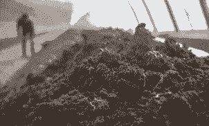 养殖红蚯蚓湿度高怎么办