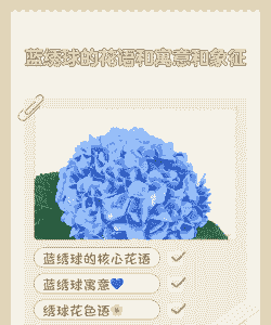 蓝绣球花语