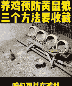 野外养殖场怎么防小偷的