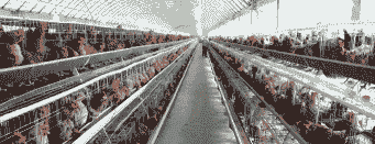 惠农贷养殖业怎么样