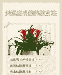 养殖户怎么养才最好呢