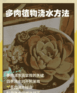大面积养殖多肉怎么浇水