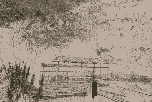 农村山林怎么建设养殖场