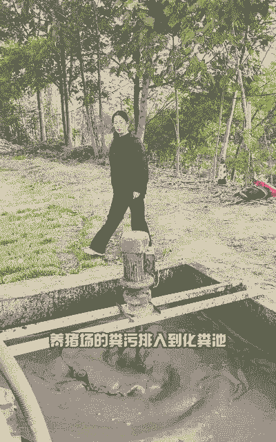 农村养殖场粪便怎么办