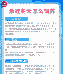 东北冬天养殖青蛙怎么样