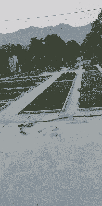 农村的菜地怎么建养殖场