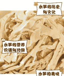 河道养殖水笋条件怎么样