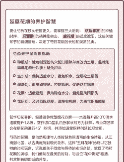 芍药花期是几月份