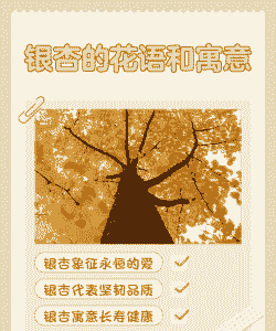 银杏花的花语及含义