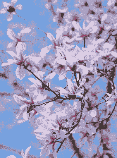 春季开花植物有哪些